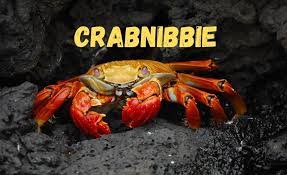 crabnibbie