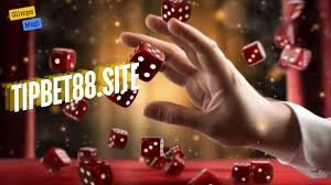 tipbet88.site